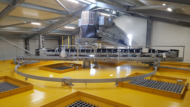 Yellow distribution conveyor distributing aggregates in the aggregate bins.