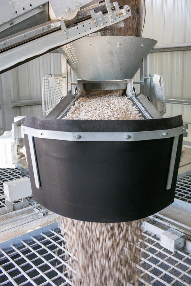 Distribution conveyor unloading aggregates in an aggregate bin.